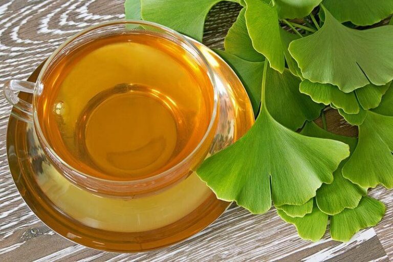 Ginkgo biloba leaves – benefits and applications