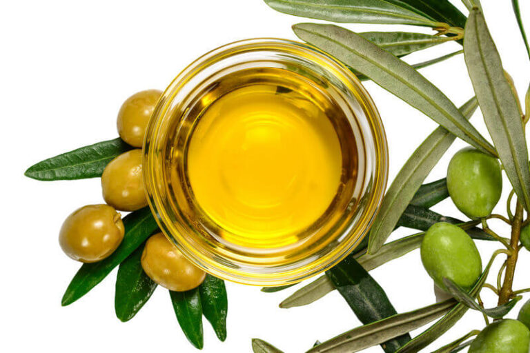 Olive leaf: use, application and properties