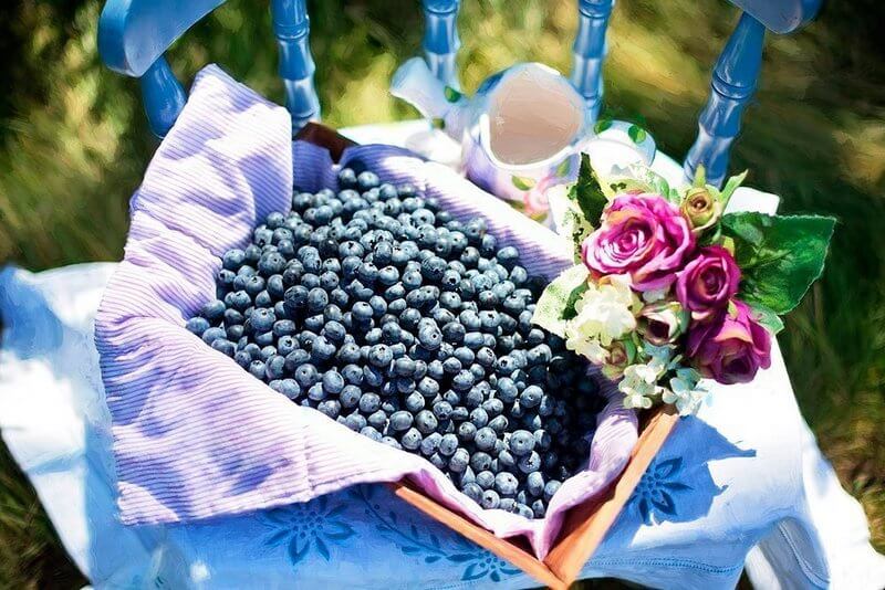blueberries for health