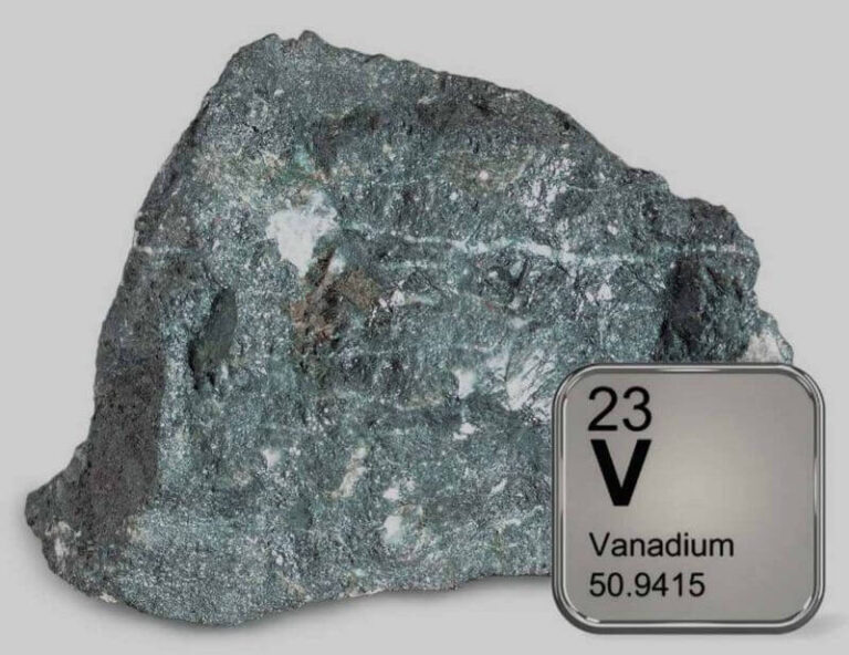 Vanadium for the human body: an essential substance for health