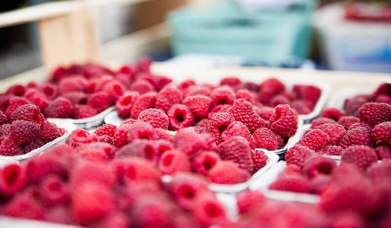 The benefits of raspberries